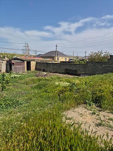 Torpaq: 4 sot, Tikinti, Kupça (Çıxarış) — 6