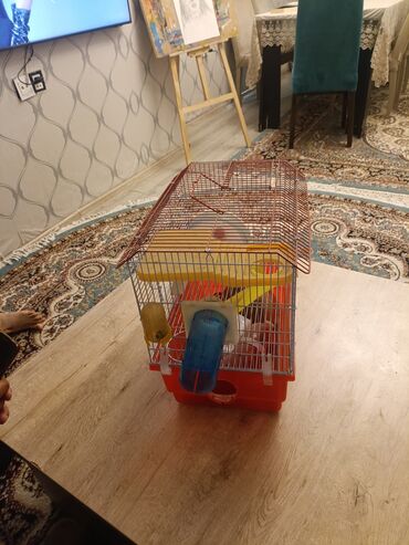 Qəfəslər: Xamyak üçün tam komplekt qəfəs - Material: metal torlu üst hissə