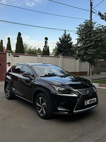 lexus: Lexus NX: 2019 г., 2 л, Вариатор, Бензин, Кроссовер — 1