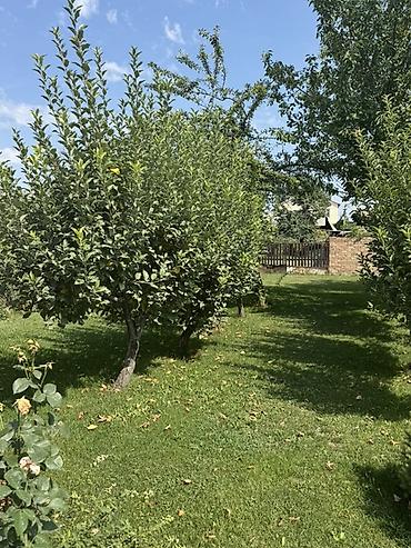 Продажа домов: Дом, 180 м², 7 комнат, Собственник at lalafo.kg — 12 Продажа домов: Дом, 180 м², 7 комнат, Собственник — 12