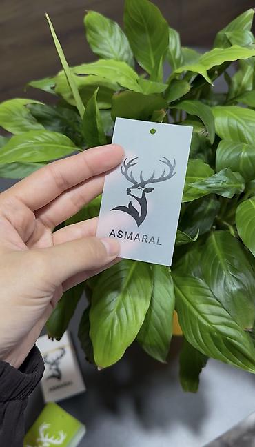 Печать: Высокоточная печать, Шелкография, | Пакеты, Футболки, Этикетки — 1