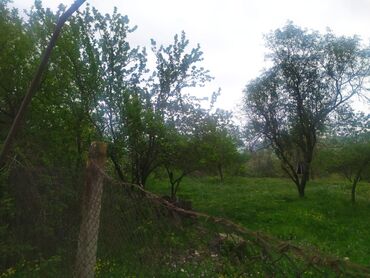 Torpaq sahələrinin satışı: Yaşıl otlar və müxtəlif ağaclarla örtülmüş, yamaclı ərazidə yerləşən — 6