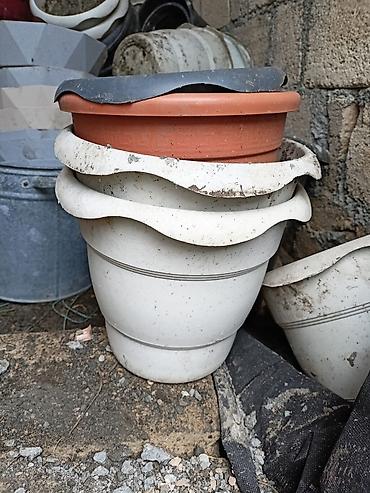 ucuz su çənləri: 3-5 litr həcmində plastik bitki qabları. Vəndam kəndindedir . Qiymət — 1