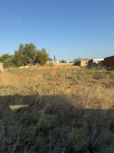 sekide satilan evler 2025: 12 sot, Tikinti, Barter mümkündür, Bələdiyyə — 1