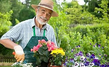 Bağbanlar: Bağ işi axtarılır 🌿 İki nəfər, məsuliyyətli və zəhmətkeş ailə — 1