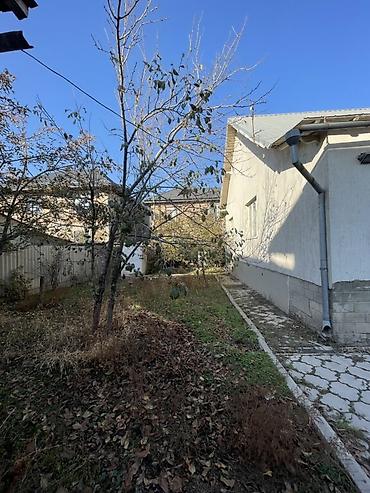 Продажа коттеджей и домов: Продается дом В ж/м Кок-Джар (Шоокум) Одноэтажный добротный дом 🏠 — 15