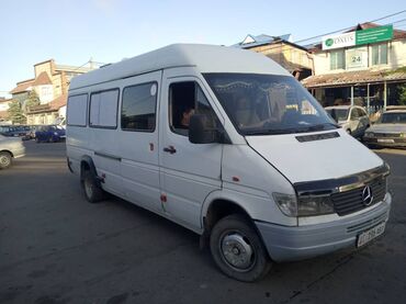 Mercedes-Benz: Mercedes-Benz Sprinter: 1996 г., 2.9 л, Механика, Дизель, Бус