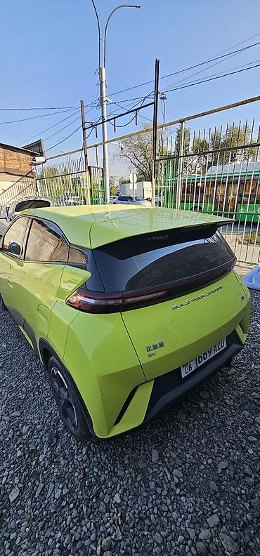BYD: BYD Dolphin: 2023 г., Электромобиль, Хэтчбэк — 2