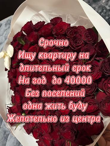 Ищу квартиру в аренду на длительный срок. Планы съёма на год, бюджет at lalafo.kg Ищу квартиру в аренду на длительный срок. Планы съёма на год, бюджет