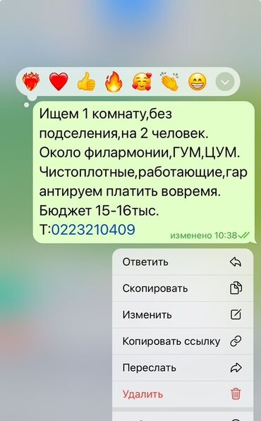 суточный гостиницы бишкек: 1 кв. м