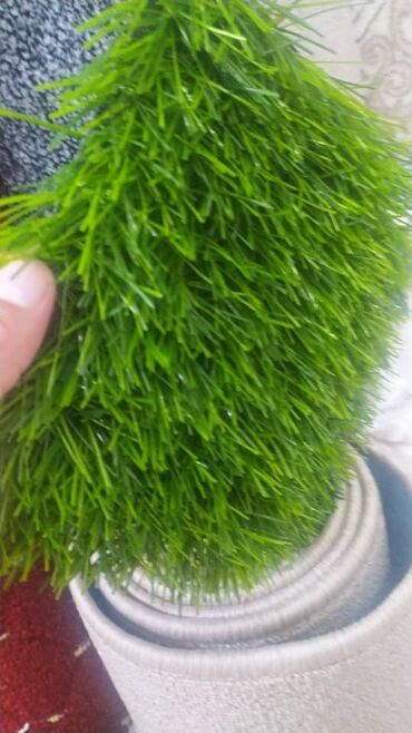 Газон: Газон Газон декор любые размеры — 5