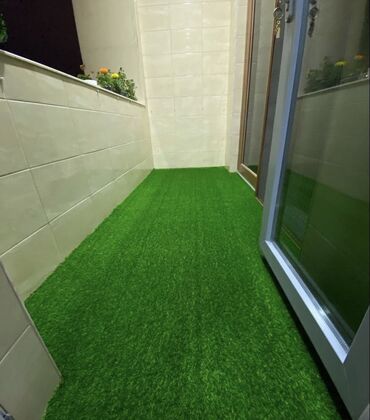 Toxumlar: 10 azn baslayan qiymetler Suni qazonlarin topdan satisi Suni qazon -da lalafo.az — 11 Toxumlar: 10 azn baslayan qiymetler Suni qazonlarin topdan satisi Suni qazon — 11