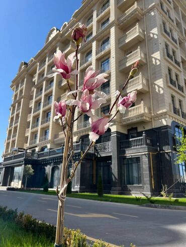 купить квартиру в рассрочку без первоначального взноса: 3 бөлмө, 124 кв. м, Элитка, 7 кабат, ПСО (өзү оңдоп түзөтүп бүтүү үчүн)