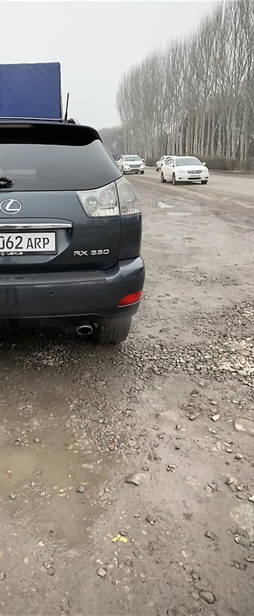 Lexus: Lexus RX: 2003 г., 3.3 л, Автомат, Бензин, Кроссовер — 6