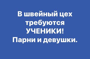 ученик автомеханика в Кыргызстан | МЕБЕЛЬЩИКИ, СТОЛЯРЫ, ПЛОТНИКИ: Швея Прямострочка. Без опыта. Аламединский рынок / базар