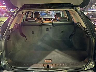 tsunami 100: Lexus RX: 2009 г., 3.5 л, Автомат, Бензин, Кроссовер — 9
