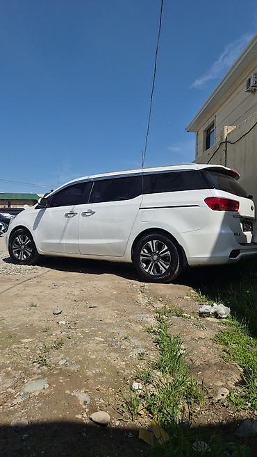 Kia: Kia Carnival: 2019 г. — 13