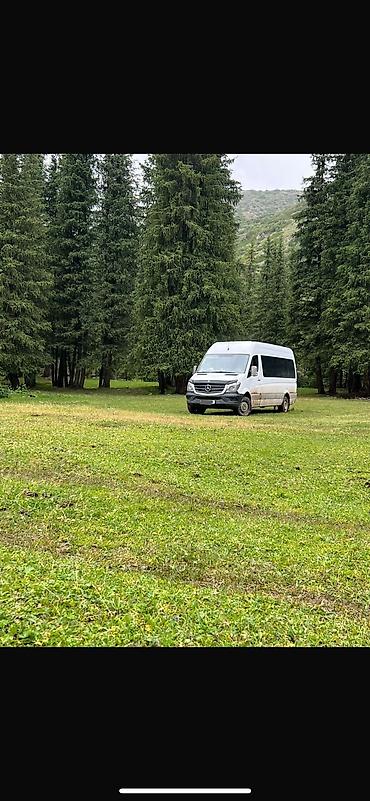 Mercedes-Benz: Mercedes-Benz Спринтер: 2008 г., 2.7 л, Механика, Дизель, Бус — 3