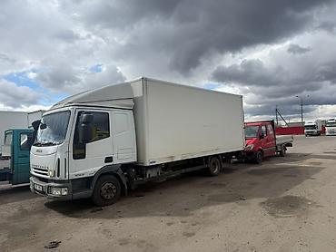 vip razbor: Грузовик, Iveco, Стандарт, Б/у — 2