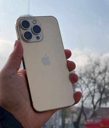 Информатика: IPhone 12 Pro, 128 ГБ