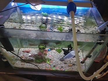 dovriyye nasosu: Dördbucaq akvarium, 115 l, Pulsuz çatdırılma — 5
