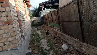 обмен на дом: Бишкек шаары Ленин район жм Ала Тоо2 Чон уй жери 5соттых уй 11:11 — 7
