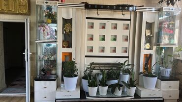 перило: Зал үчүн гарнитур, Шкаф, МДФ, түсү - Саргыч боз