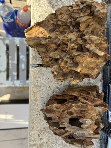 Dragon Stone Akvaryum dekorasiyası üçün istifadə olunan, təbii