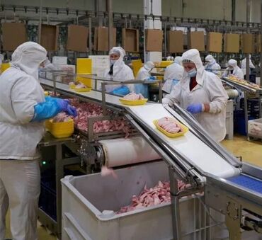 работа не полный рабочий день: Талап кылынат Таңгактоочу, Төлөм Бир айда эки жолу, Тажрыйбасыз