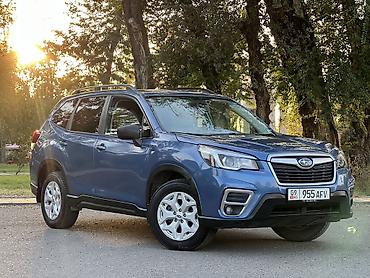 форестер продажа: Subaru Forester: 2019 г., 2.5 л, Вариатор, Бензин, Кроссовер — 4