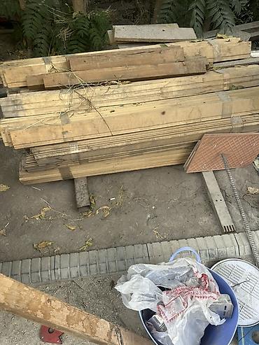 купить кору бишкек: Хвоя — 3