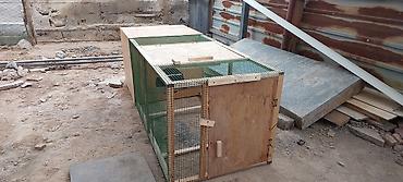 Товары и оборудование для с/х животных: Переносная клетка для цыплят 🔥🔥🔥 Уличный вольер/курятник из дерева с — 2