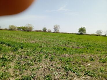 Torpaq sahələrinin satışı: 187 sot, Kənd təsərrüfatı, Barter mümkündür, Texniki pasport -da lalafo.az — 15 Torpaq sahələrinin satışı: 187 sot, Kənd təsərrüfatı, Barter mümkündür, Texniki pasport — 15