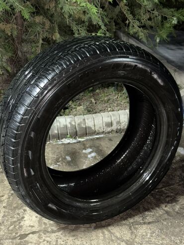 пирелли: Шиналар 235 / 55 / R 17, All-season, 1 даана, Жеңил унаалар, Италия, Pirelli