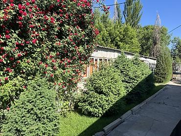 продаю бишкек: Продаётся участок с готовым бизнесом – кафе/чайхана Участок 15 соток — 3