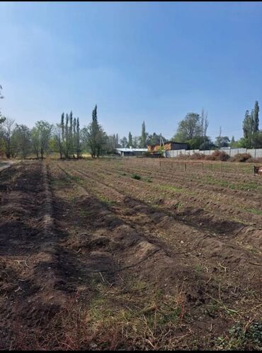 продаю дом старый талчок: 4 соток, Красная книга