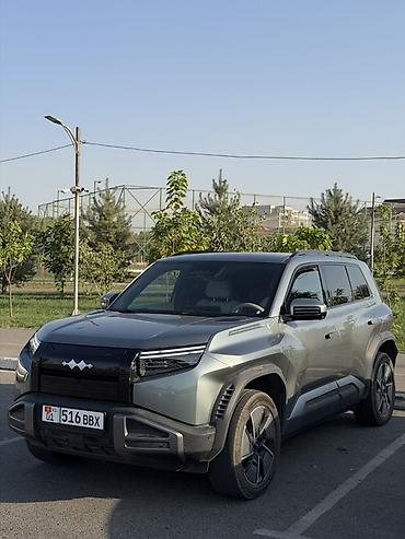 слиф понтеры: BYD FangChengBao Leopard 3: 2025 г., Электромобиль, Кроссовер — 2