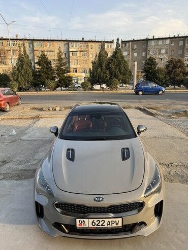 спортивные машины: Kia : 2018 г., 3.3 л, Автомат, Бензин, Седан