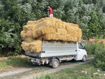 полку козирок на спринтер: По городу, По региону, без грузчика