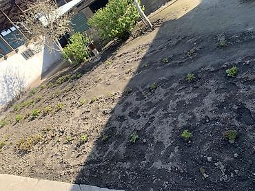 Продажа коттеджей и домов: Продаётся частный дом с мебелью на фото. Описание: Каракол, Салиева 35 — 6