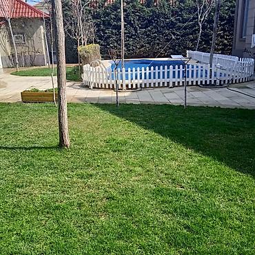 ot bicən aparatlar: Bağlarda suvarma sistemi ilə birlikdı qazon əkilməsi — 9