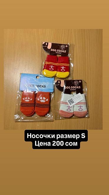 Зоотовары: Одежда для кошек и собак. Все НОВОЕ РАЗМЕР И ЦЕНА УКАЗАНЫ НА ФОТО — 26