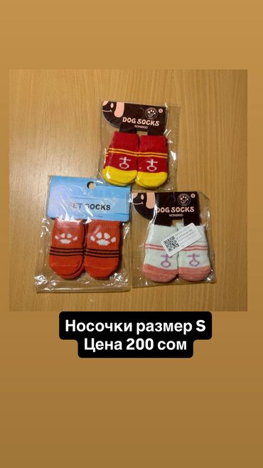 Зоотовары: Одежда для кошек и собак. Все НОВОЕ РАЗМЕР И ЦЕНА УКАЗАНЫ НА ФОТО — 21