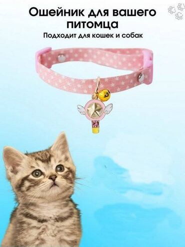 Картины и фотографии: Регулируемый ошейник для котенка с колокольчиком, ошейник для домашних