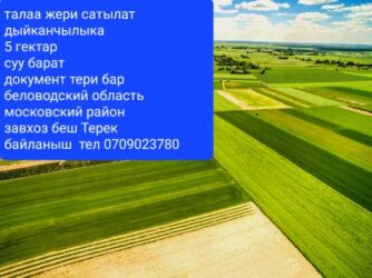 продажа дома баят: 5000 соток, Айыл чарба үчүн, Кызыл китеп
