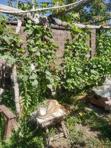 Продажа домов: Дом, 1200 м², 4 комнаты, Собственник, Косметический ремонт — 21