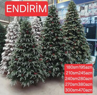 fisdiq agaci: KREMLOVİSQİ YOLKALAR QARI TÖKULMUYƏN + əsas ENNİ MADEL şəkildə olanlar