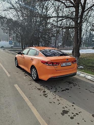Kia: Kia K5: 2017 г., 2 л, Автомат, Газ, Седан — 3