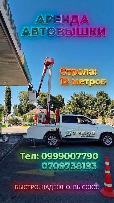 флагшток на авто: Стрела 12 м, 250 т — 2
