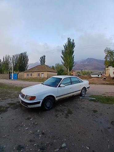 Audi: Audi 100: 1991 г., Седан — 2